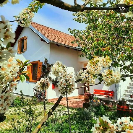 Kuca Za Odmor "Dva Srca" Otel Ceminac Dış mekan fotoğraf