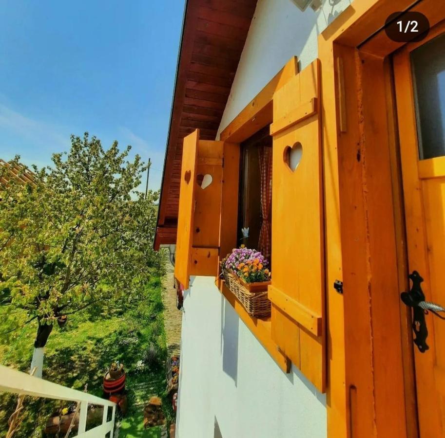Kuca Za Odmor "Dva Srca" Otel Ceminac Dış mekan fotoğraf