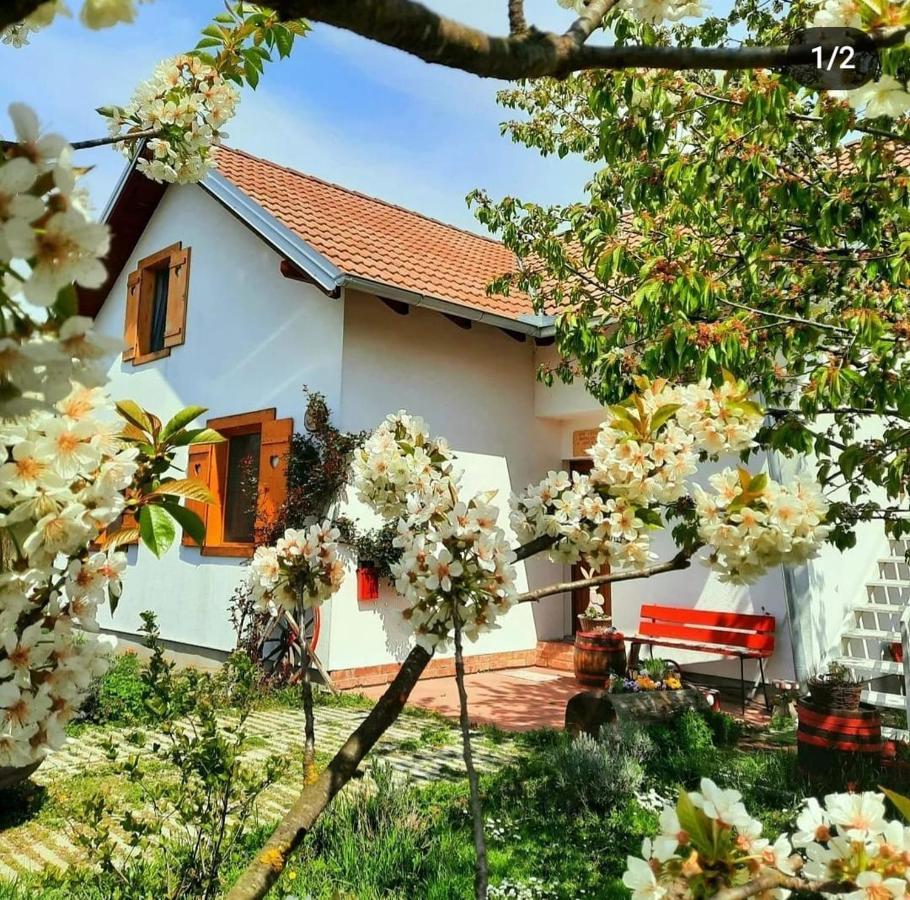 Kuca Za Odmor "Dva Srca" Otel Ceminac Dış mekan fotoğraf