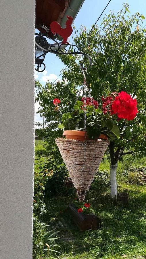 Kuca Za Odmor "Dva Srca" Otel Ceminac Dış mekan fotoğraf