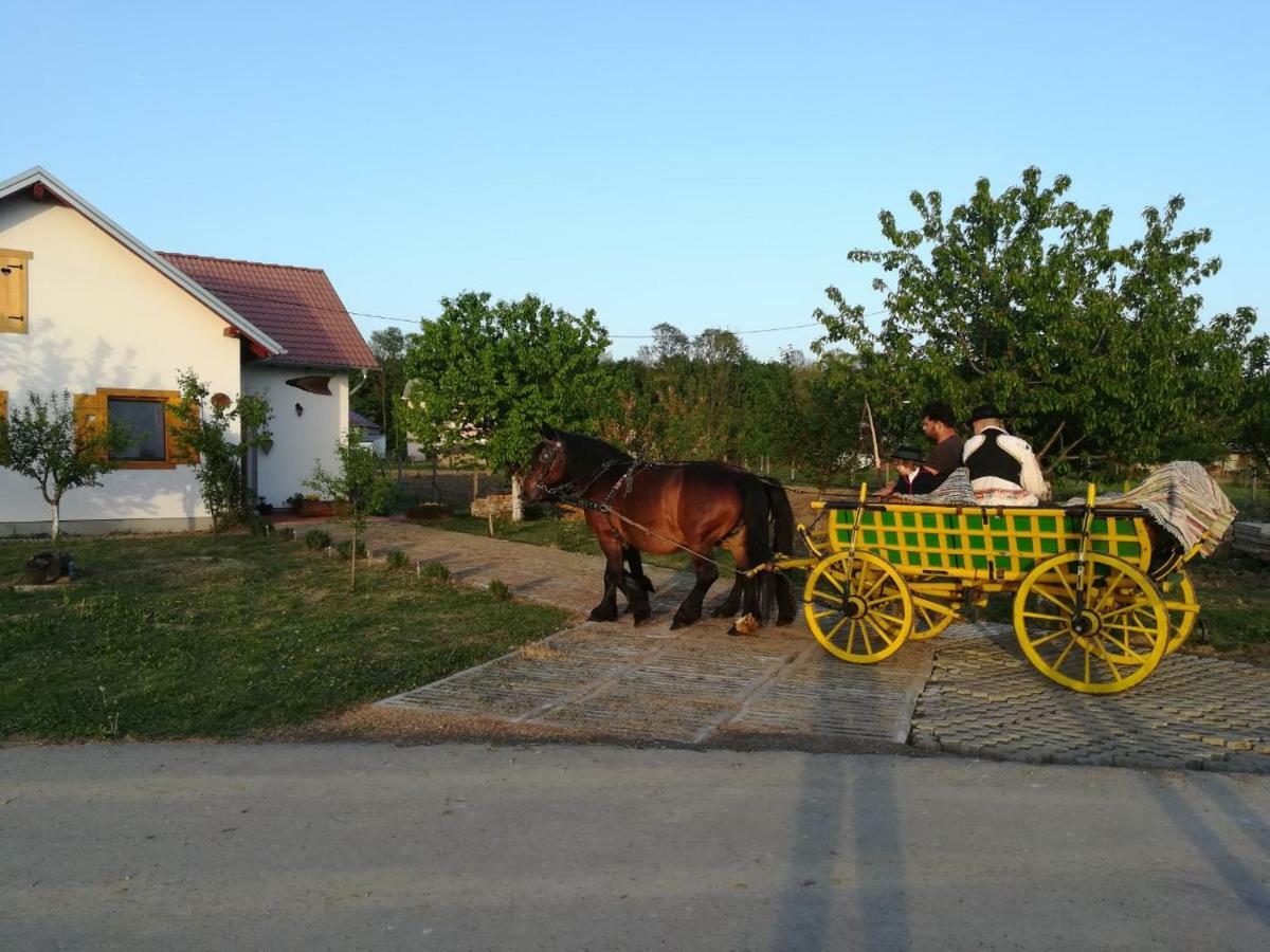 Kuca Za Odmor "Dva Srca" Otel Ceminac Dış mekan fotoğraf