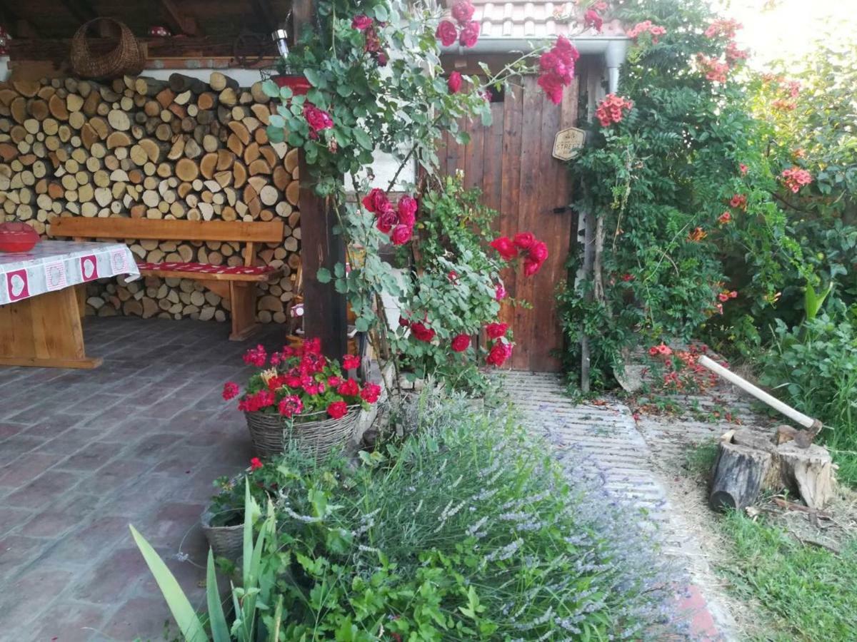 Kuca Za Odmor "Dva Srca" Otel Ceminac Dış mekan fotoğraf